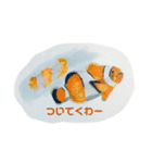 僕らは海洋生物（個別スタンプ：8）