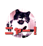 スコ猫 影千代さん（個別スタンプ：1）