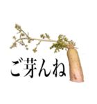 腐った大根（個別スタンプ：2）