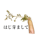 腐った大根（個別スタンプ：6）