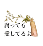腐った大根（個別スタンプ：7）