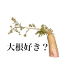 腐った大根（個別スタンプ：10）