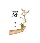 腐った大根（個別スタンプ：12）