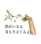 腐った大根（個別スタンプ：23）