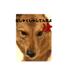 犬と亀とハリネズミ（個別スタンプ：5）