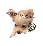 famiry♡すたんぷ（個別スタンプ：2）
