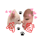 famiry♡すたんぷ（個別スタンプ：3）