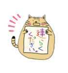 アニマル/挨拶（個別スタンプ：37）