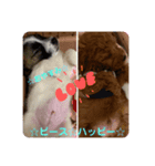 ☆愛犬☆ハッピースラッキー☆（個別スタンプ：4）