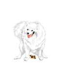 SAMOYED LOVE 3（個別スタンプ：2）