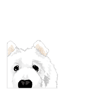 SAMOYED LOVE 3（個別スタンプ：10）