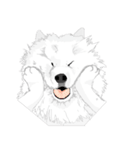 SAMOYED LOVE 3（個別スタンプ：14）