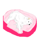 SAMOYED LOVE 3（個別スタンプ：27）