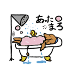 こた先生とおいたろうは春を楽しむ（個別スタンプ：36）