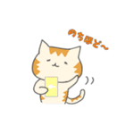 カナリア猫のゆるっと日常あいさつ（個別スタンプ：16）