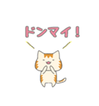 カナリア猫のゆるっと日常あいさつ（個別スタンプ：36）