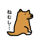 動物愛護★スタンプ（個別スタンプ：1）