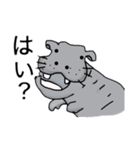 動物愛護★スタンプ（個別スタンプ：7）