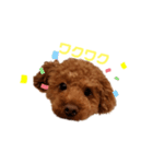 ハルすたんぷ（トイプードル）（個別スタンプ：2）