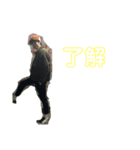 ラッキーパンチJoey（個別スタンプ：3）