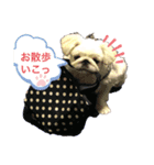 はんぺんのスタンプ☆（個別スタンプ：6）