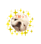 はんぺんのスタンプ☆（個別スタンプ：8）