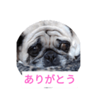 TOTO's stump6（個別スタンプ：1）