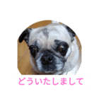 TOTO's stump6（個別スタンプ：2）