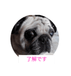 TOTO's stump6（個別スタンプ：4）