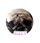 TOTO's stump6（個別スタンプ：5）