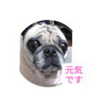 TOTO's stump6（個別スタンプ：6）