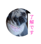 TOTO's stump6（個別スタンプ：7）