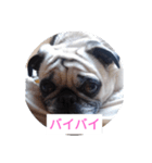 TOTO's stump6（個別スタンプ：8）