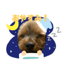 門脇ラテのスタンプ2（個別スタンプ：2）