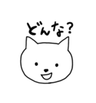 石垣沖縄ことば★ゆるネコ（個別スタンプ：40）