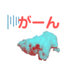 マルプーのこむぎくん1（個別スタンプ：7）