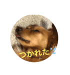 めるのスタンプ^_^（個別スタンプ：3）