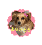 めるのスタンプ^_^（個別スタンプ：7）