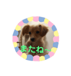 めるのスタンプ^_^（個別スタンプ：8）