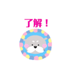 コツメカワウソ【基本編】otter otter（個別スタンプ：2）