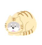コツメカワウソ【基本編】otter otter（個別スタンプ：11）