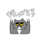 チプ銀ロキのスタンプ（個別スタンプ：31）