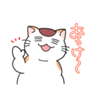 ゆるネコぽっけ（個別スタンプ：1）