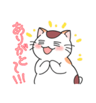 ゆるネコぽっけ（個別スタンプ：3）