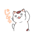 ゆるネコぽっけ（個別スタンプ：6）