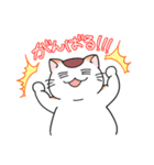 ゆるネコぽっけ（個別スタンプ：7）