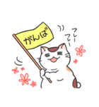 ゆるネコぽっけ（個別スタンプ：9）