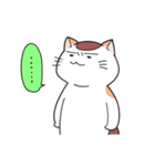 ゆるネコぽっけ（個別スタンプ：12）