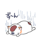 ゆるネコぽっけ（個別スタンプ：13）