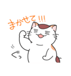 ゆるネコぽっけ（個別スタンプ：20）